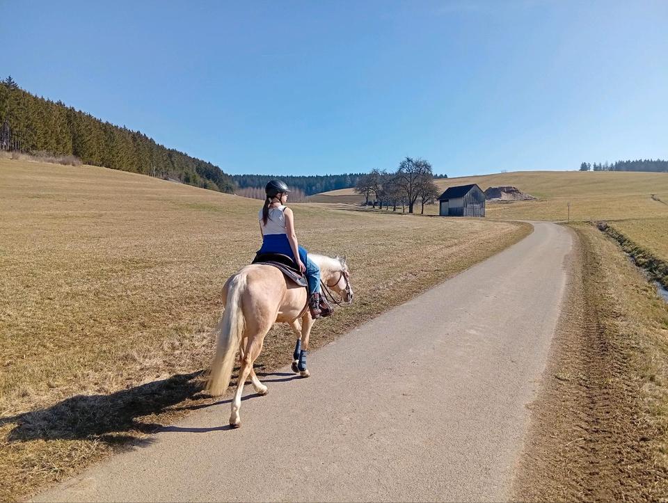 Thumbnail-Ferienwohnung Bauernhof; Pferdehof, Bodensee, Hunde willkommen