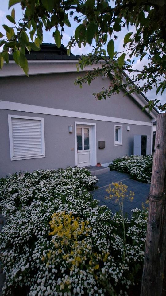 Thumbnail-Wunderschöne Wohnung mit Terrasse und 2 Stellplätze