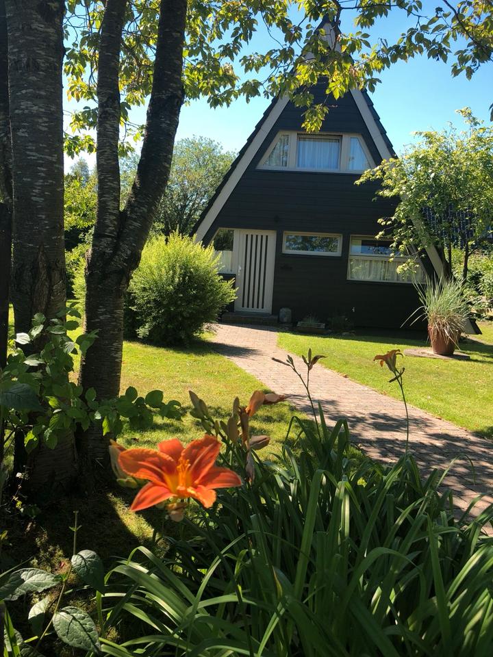 Thumbnail-Ferienhaus in Damp an der Ostsee zu vermieten!☀️☀️☀️