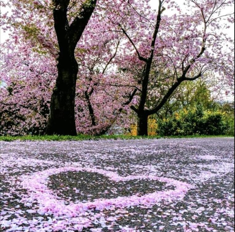 Thumbnail-Residieren in der Bel-Etage: Villenglanz trifft moderne