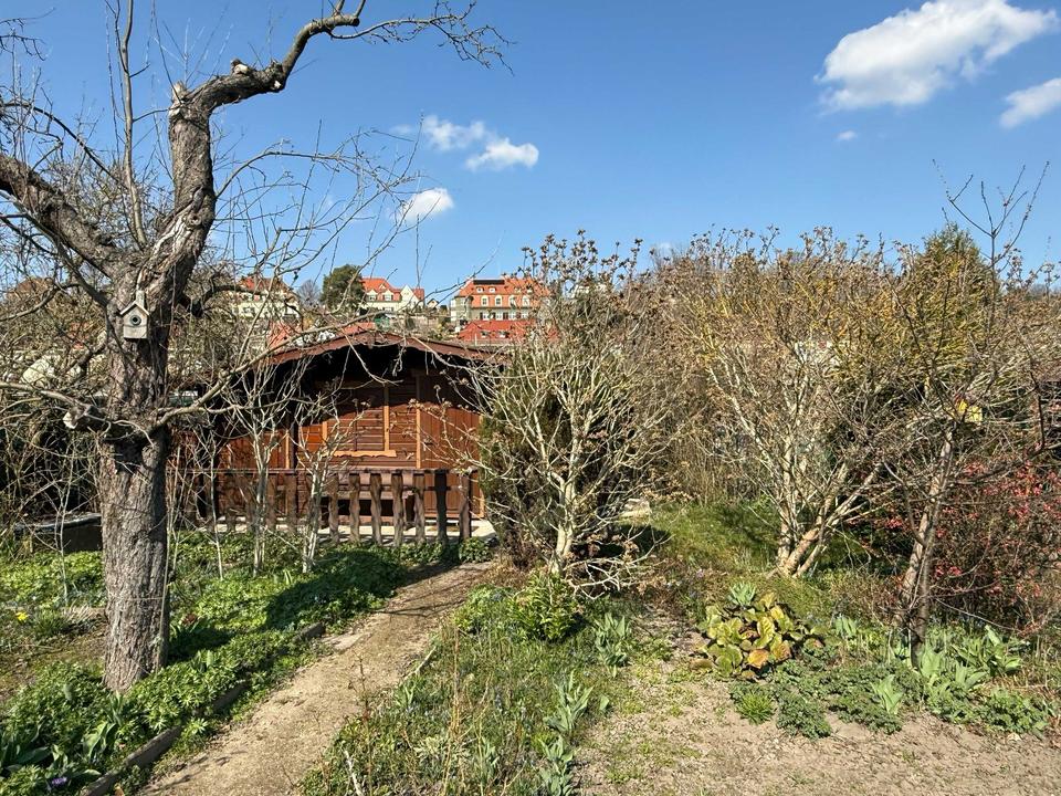 Thumbnail-Pachtgrundstück Kleingarten Nr. 69 in Dresden-Trachau