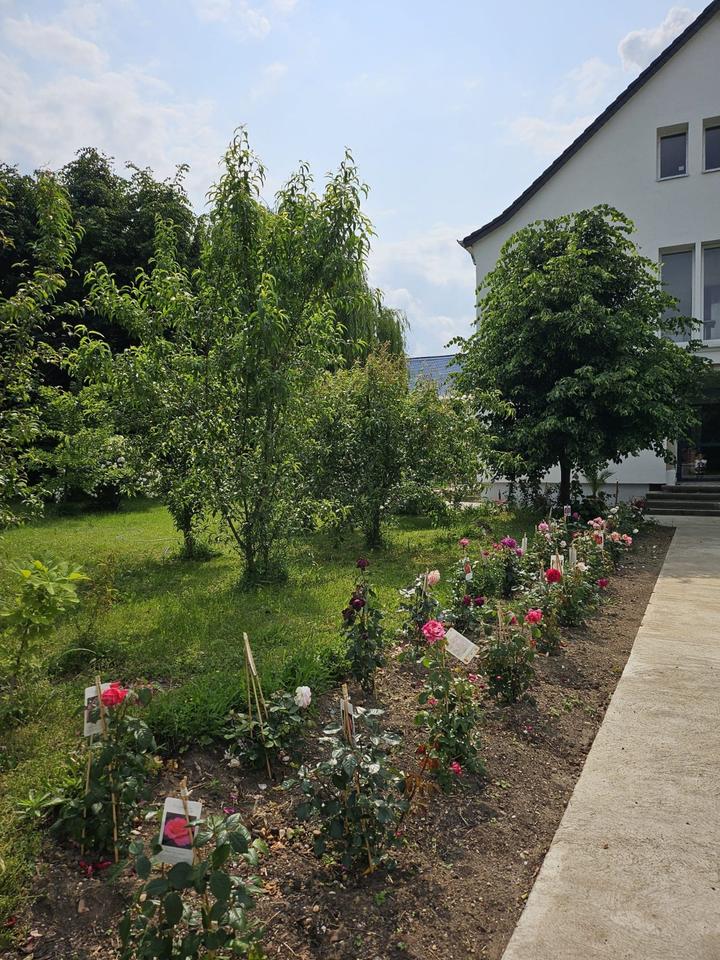 Thumbnail-Wohnung zu vermieten