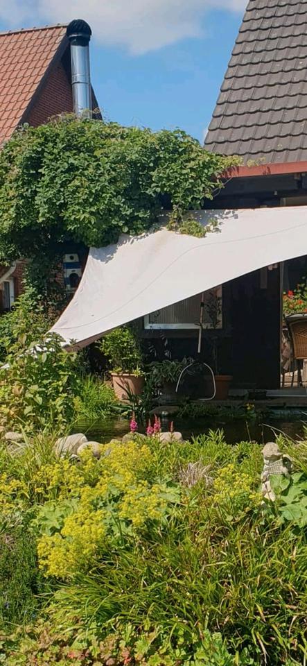 Thumbnail-Einfamilienhaus in AhausOttenstein >provisionsfrei< zuverkaufen