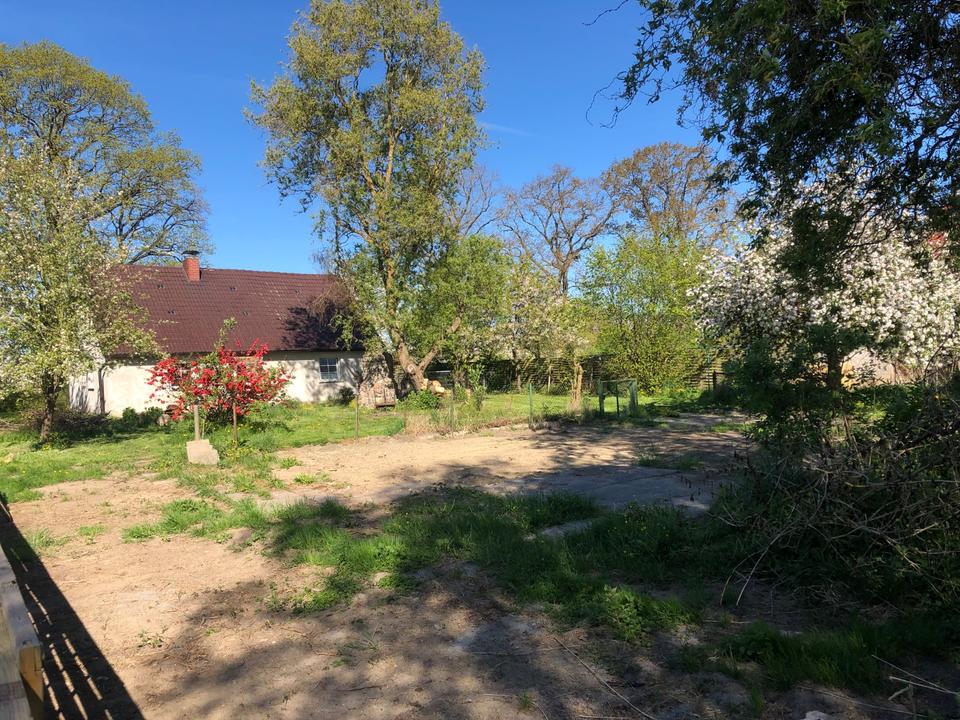 Thumbnail-Großes Haus und Grundstück in einem Enddorf