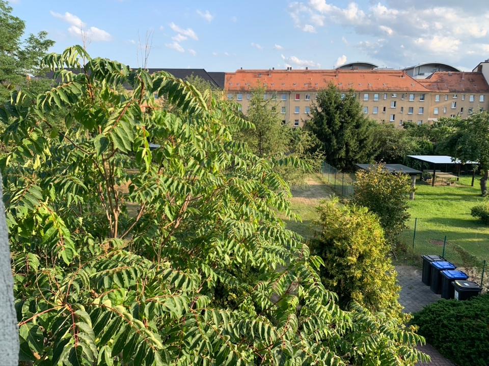 Thumbnail-Charmante 3-R-EG Wohnung m. Garten und Stellplatz