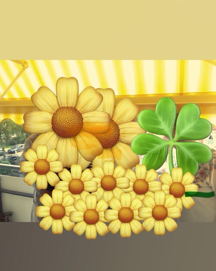 Thumbnail-Schicke kleine Wohnung Nähe Volksparkstadion