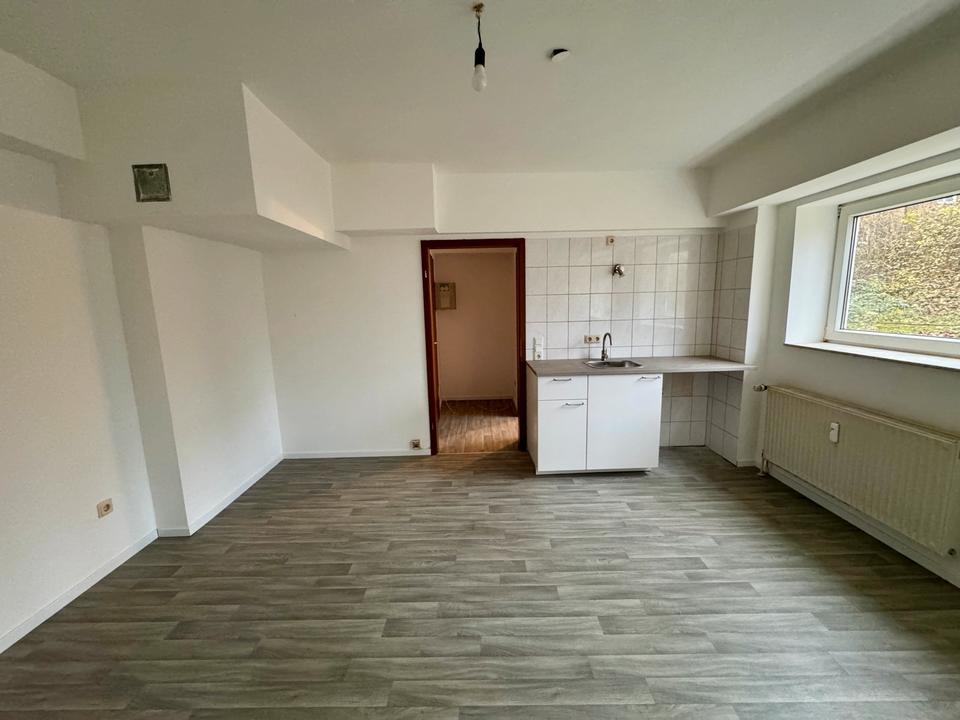 Thumbnail-1ZKB Apartment Wohnung neue Einbauküche Souterrain