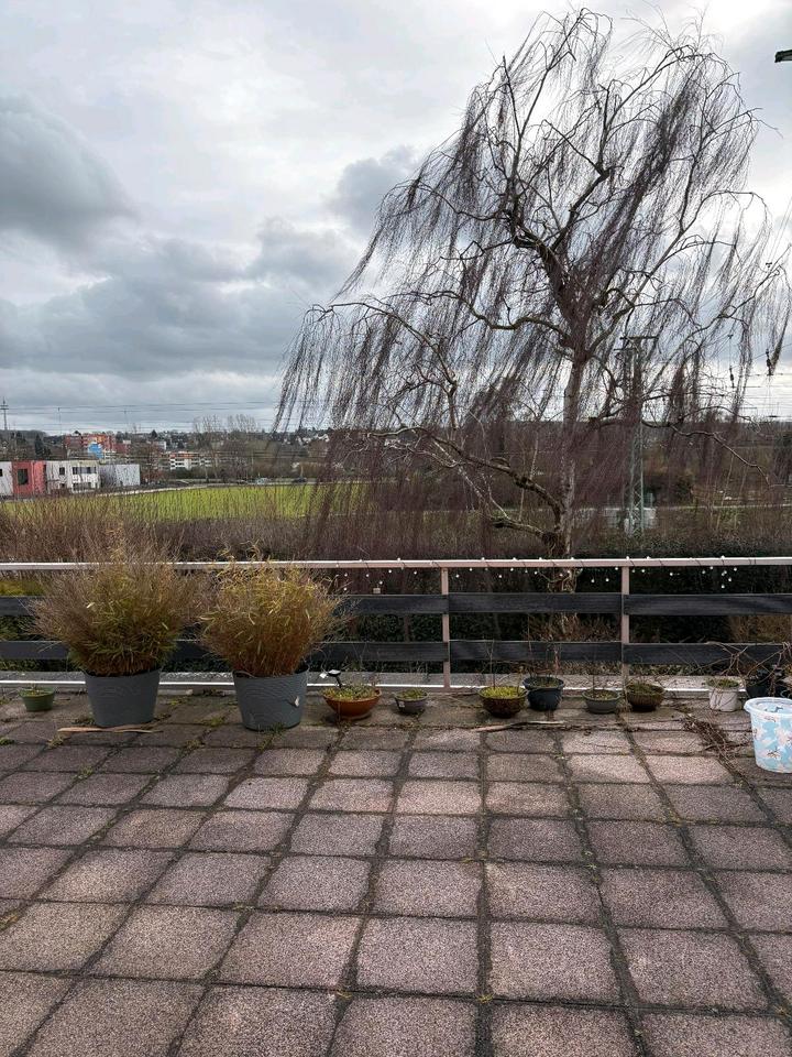 Thumbnail-Wohnung in Berghofen Nähe Phönixsee