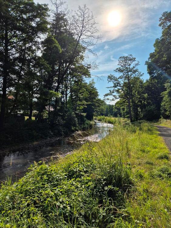 Thumbnail-Ferienwohnung 2 Flüsse in SchleidenGemünd