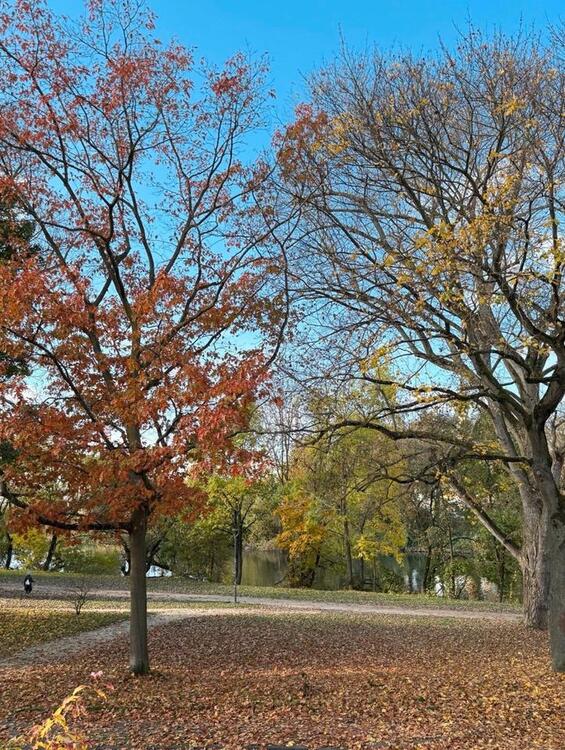 Thumbnail-Ein-Zimmer-Wohnung mit Balkon