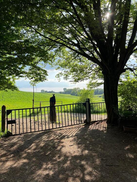 Thumbnail-5-Zimmer-Dachgeschosswohnung in Aachen-Horbach