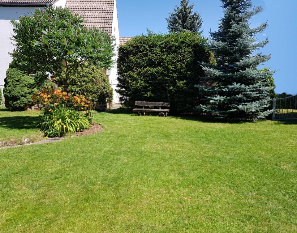 Thumbnail-Haus mit schönem Garten im Vorharz