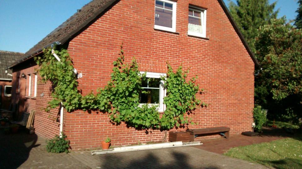 Thumbnail-Haus Einfamilienhaus