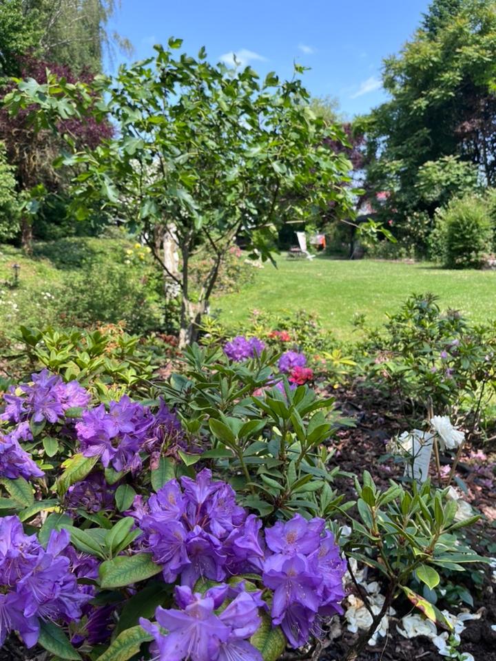 Thumbnail-Nur Studenten: helle, möblierte 2,5-Zimmerwohnung