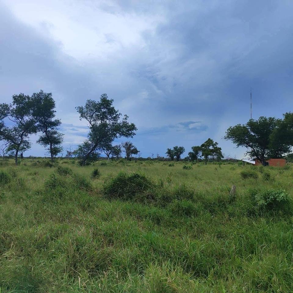 Thumbnail-Exklusive Investmentgelegenheit: 16.000 ha - Paraguay