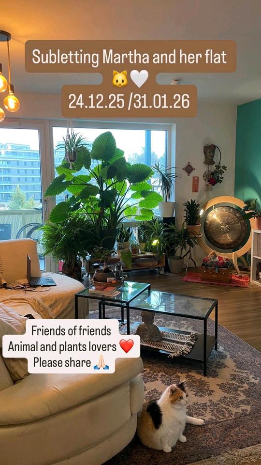 Thumbnail-Zwischenmiete in Schöneweide - Sublet in Schöneweide