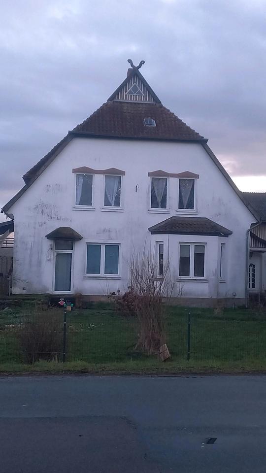 Thumbnail-Ein Traum für Pferdeliebhaber