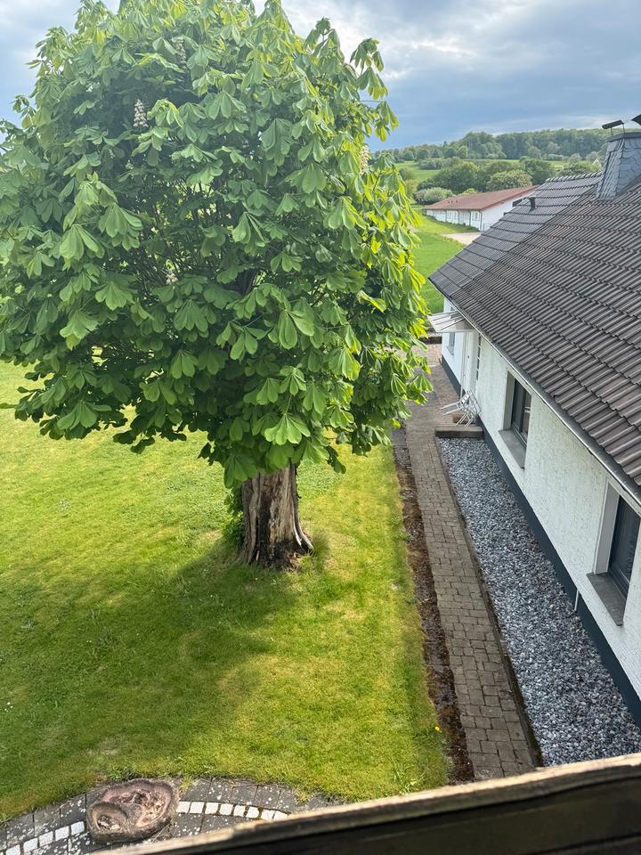 Thumbnail-Freistehendes Haus im Grünen 60qm mit Stellplatz am Haus