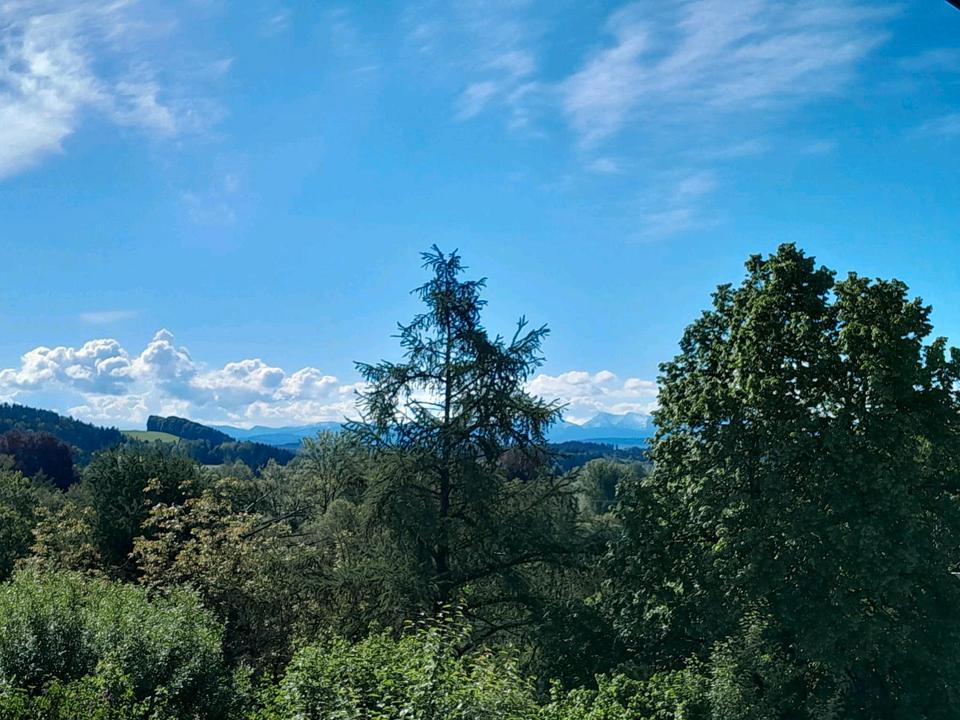 Thumbnail-Wangen im Allgäu 3,5 Zimmer whg