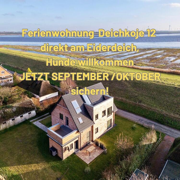 Thumbnail-Nordsee-Glück ⚓️ Ferienwohnung direkt am Eiderdeich mit Hund