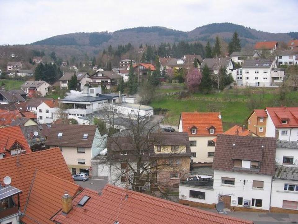 Thumbnail-Schöne helle 3-Zimmer Wohnung in Schriesheim-Altenbach