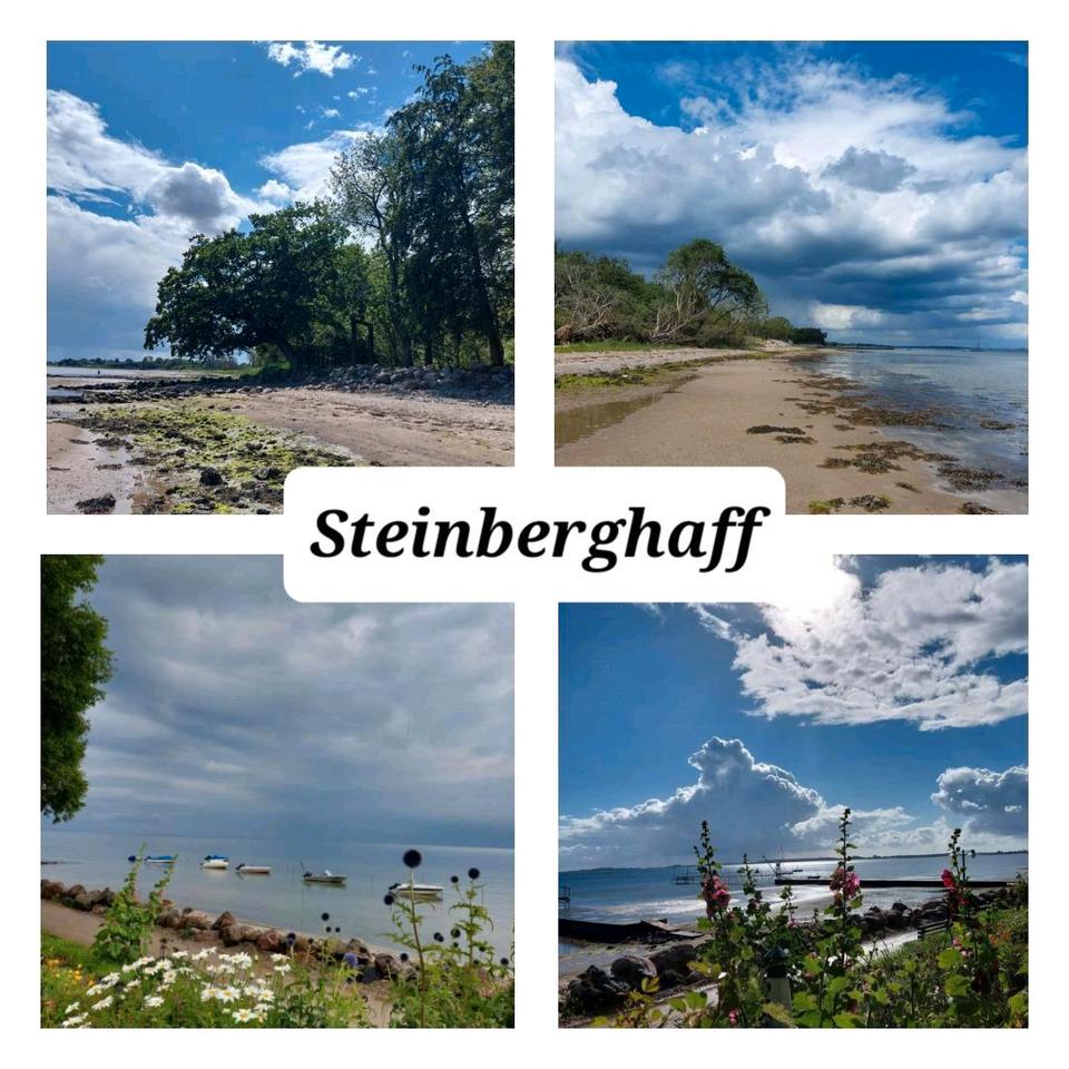 Thumbnail-16.Aug.-15.Sep. 1.-16.Okt.Ferienwohnung SteinbergholzOstsee frei