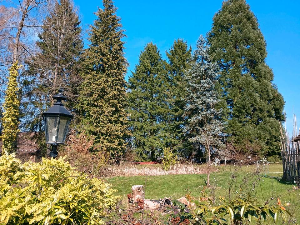 Thumbnail-Baugrundstück, Bauplatz, Baugrund, Bauland