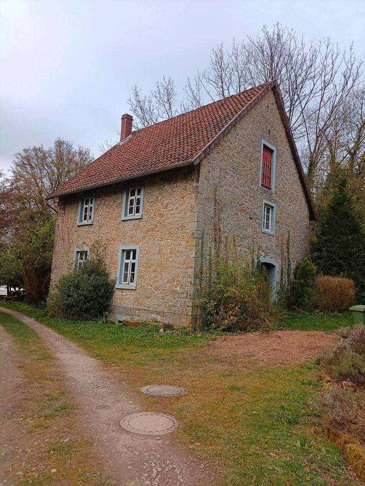 Thumbnail-Bruchsteinhaus in Holzhausen-Externsteine