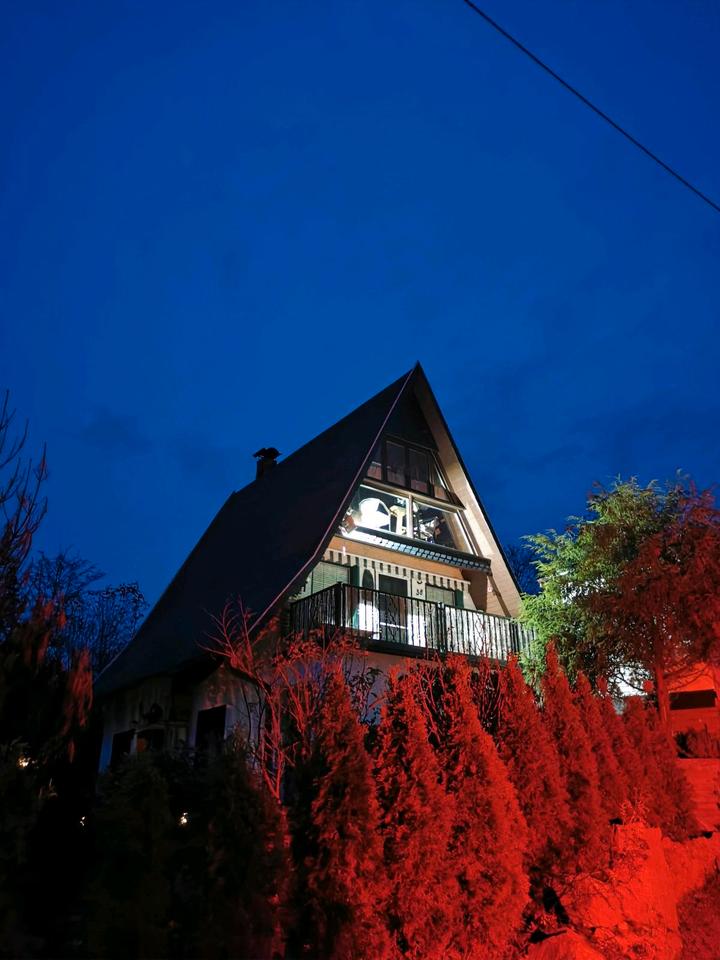 Thumbnail-Einfamilienhaus im Finnhüttenstil