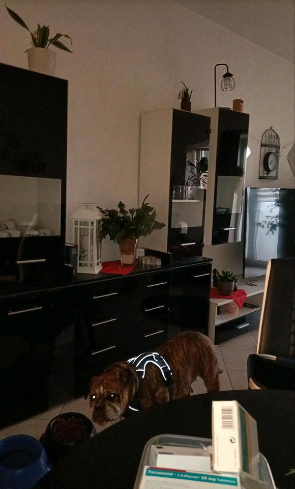 Thumbnail-Nachmieter für eine 2 Zimmerwohnung Erdgeschoss