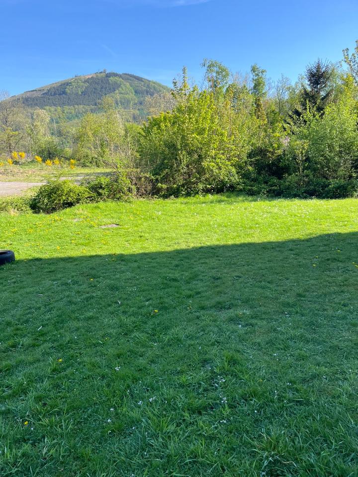 Thumbnail-Familienfreundliche Wohnung im Grünen