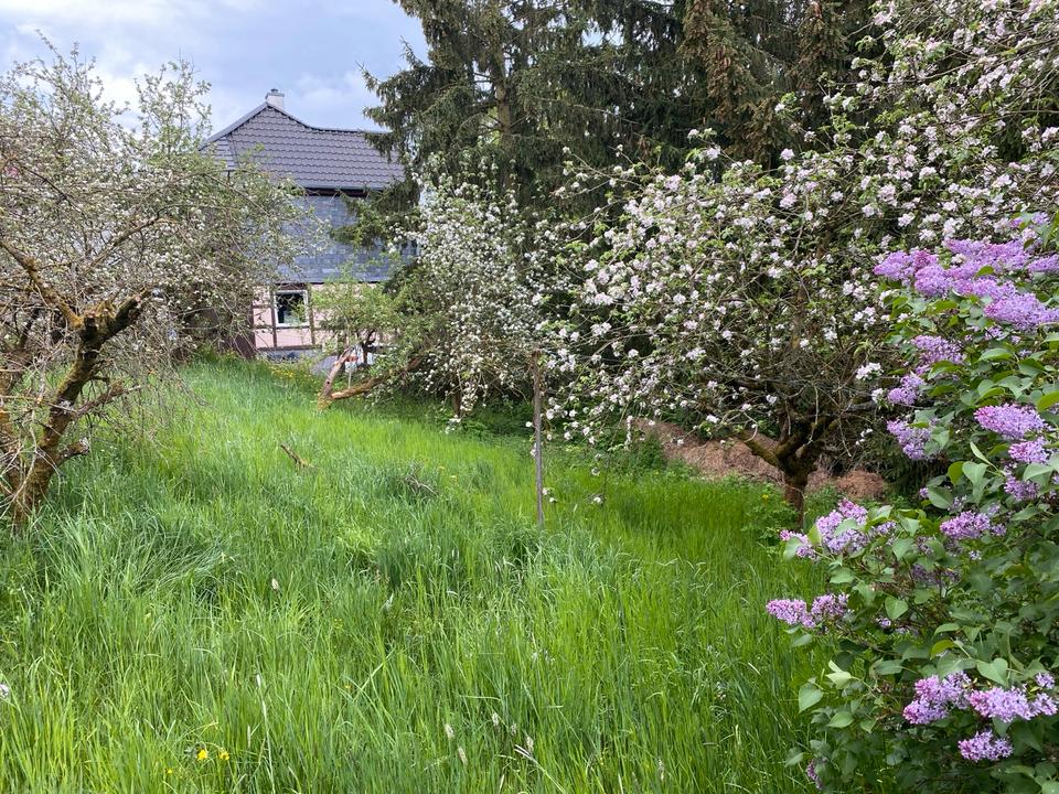 Thumbnail-Ein grünes Baugrundstück in Catterfeld