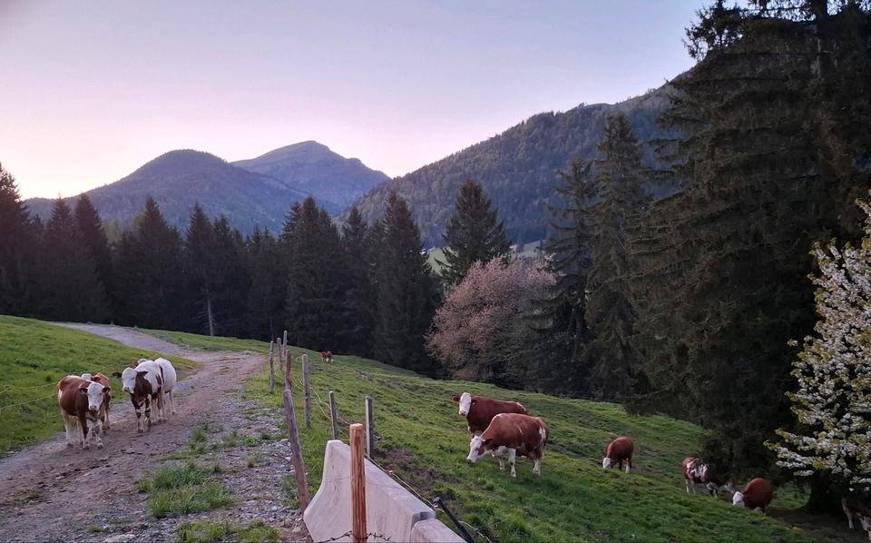 Thumbnail-Hüttenzimmer zur Dauermiete im Salzburger Land