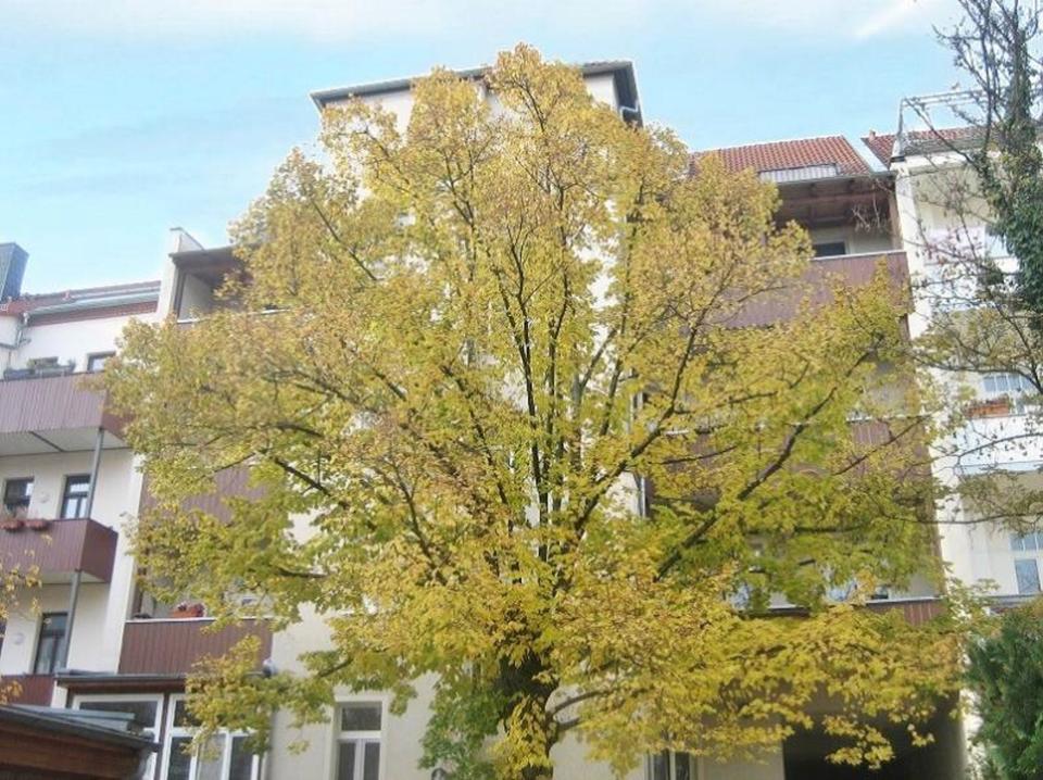 Thumbnail-schöne 3 Raum Wohnung