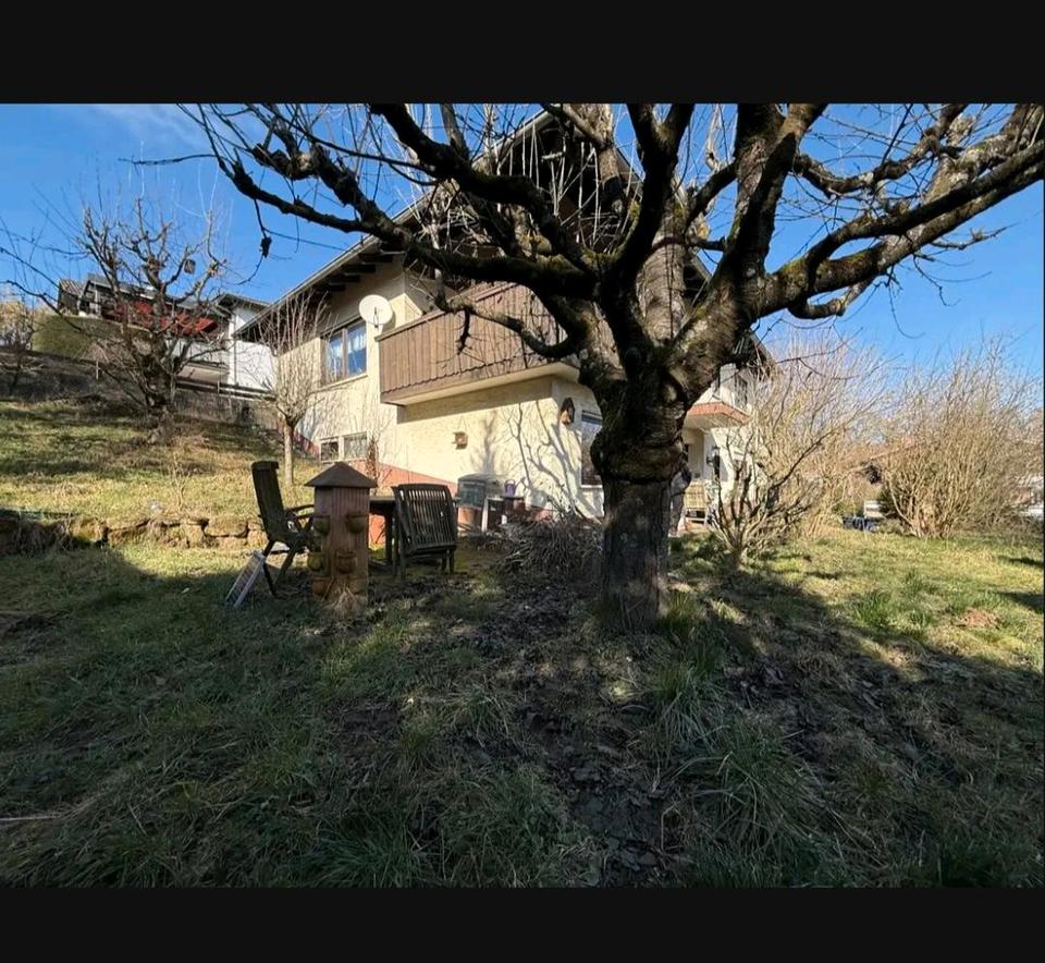 Thumbnail-Großes Einfamilienhaus EFH mit Einliegerwohnung und Fernsicht