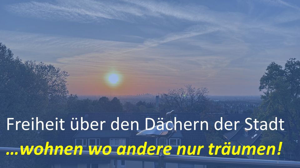 Thumbnail-Freiheit über den Dächern der Stadt