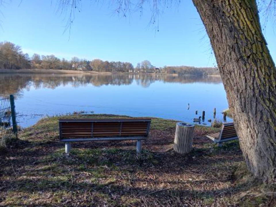 Thumbnail-2 Raumwohnung EG in Crivitz 1 Min. zum See