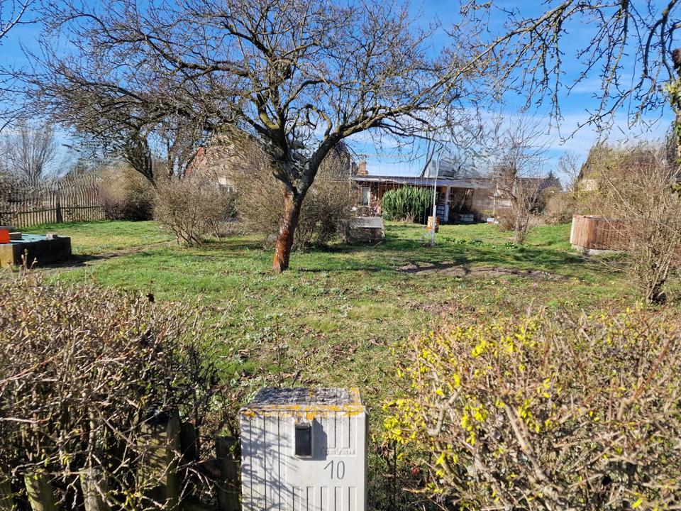 Thumbnail-Garten Kleingarten Pachtgarten in Kleingartenverein