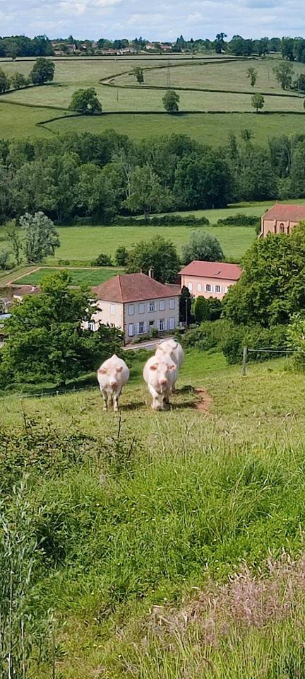 Thumbnail-Großzügiges 1 bis 3 Familienhaus zu verkaufen