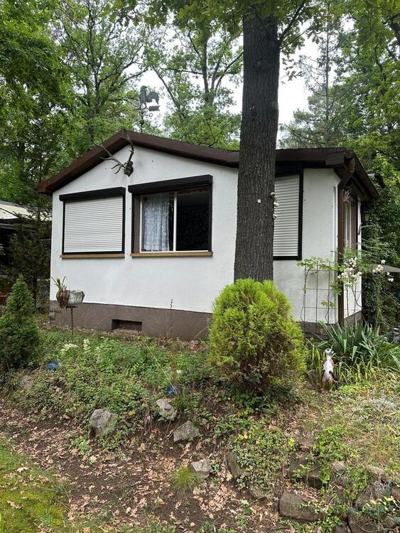 Thumbnail-Idyllischer Bungalow am Oberen Waldteich nahe Moritzburg