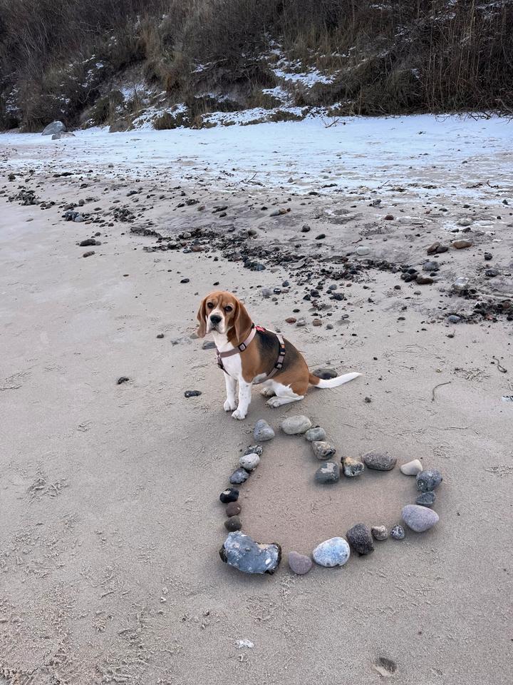 Thumbnail-Fewo von Privat auf Rügen