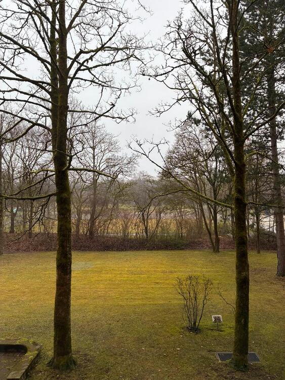 Thumbnail-Komplett renovierte Eigentumswohnung mit Tiefgaragenstellplatz