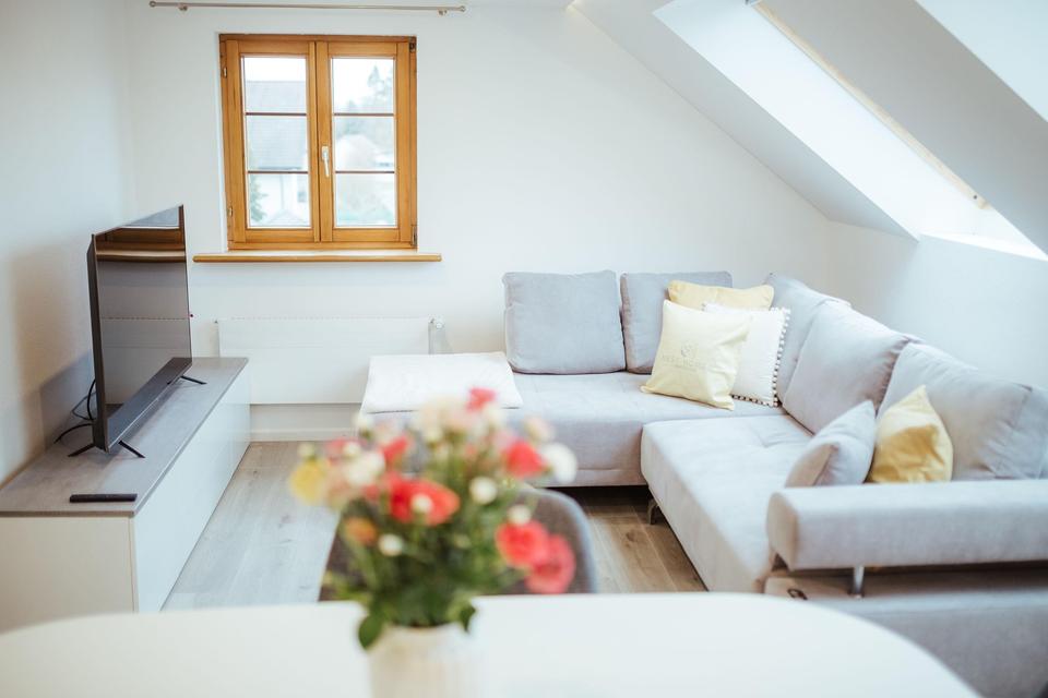 Thumbnail-Helle 3 Zimmerwohnung mit Einbauküche und Rheinblick in Büsingen