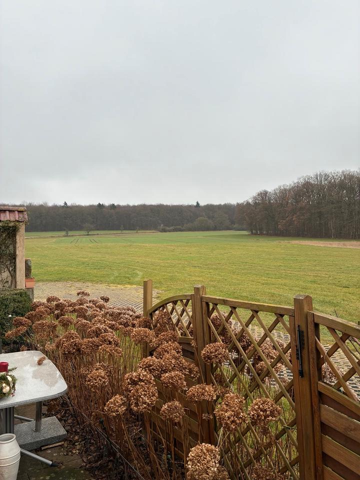 Thumbnail-Kompakte Mietwohnung in ruhiger Lage