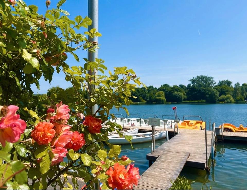 Thumbnail-Vermietung: Einfamilienhaus mit Garten in Göttingen am Kiessee