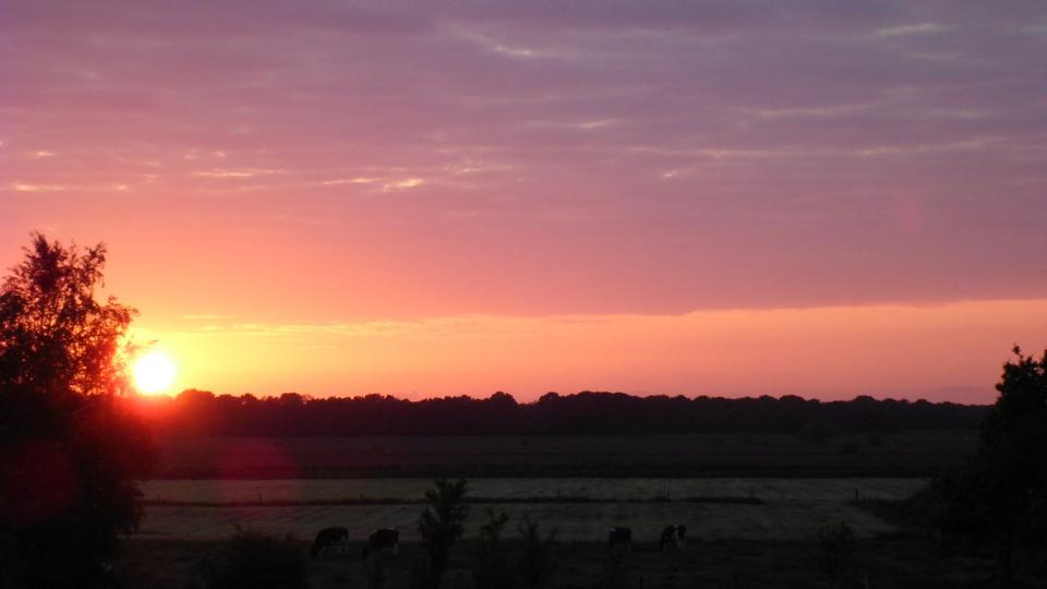 Thumbnail-Top 3 Zimmer im Grünen.