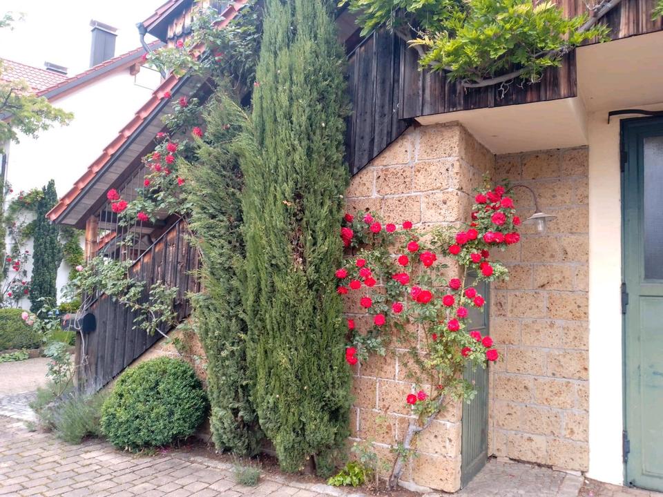 Thumbnail-3-Zimmer-Wohnung, Donzdorf