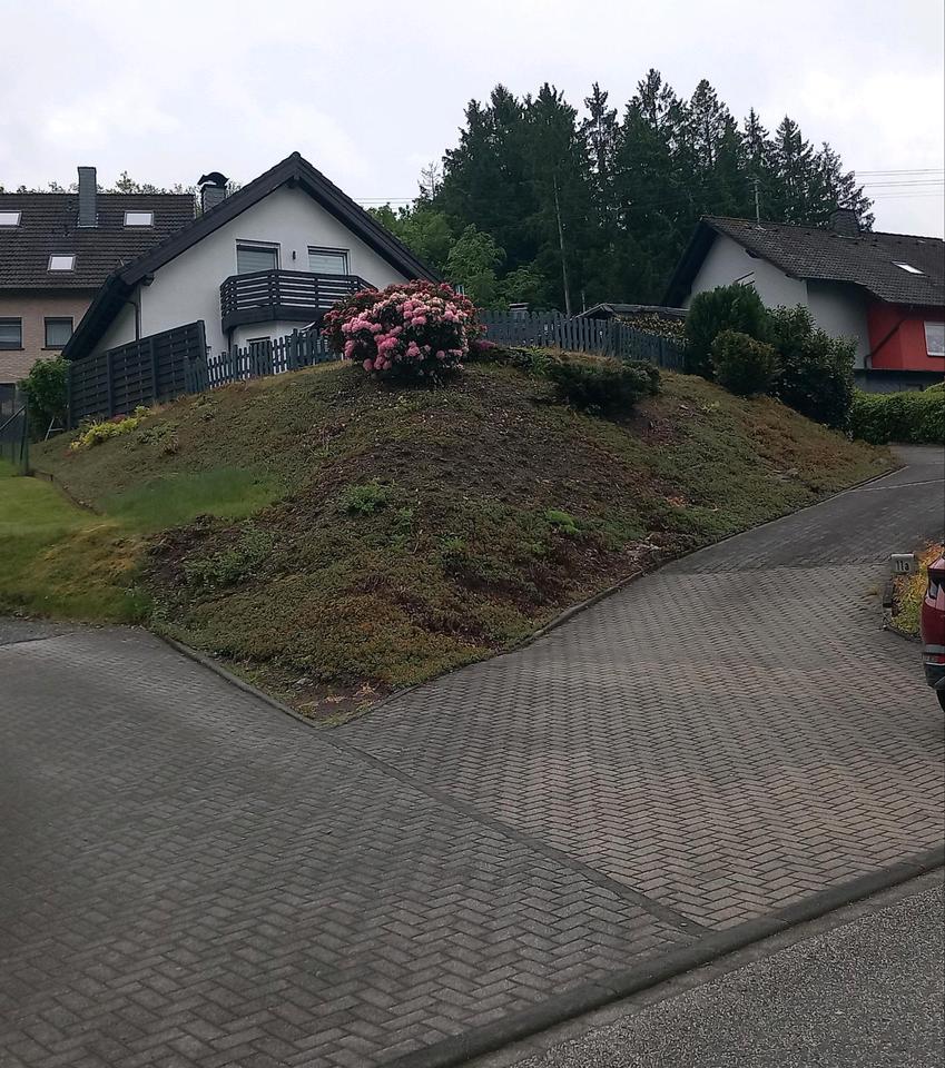 Thumbnail-Einfamilienhaus