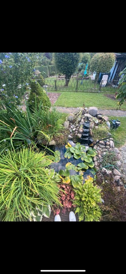 Thumbnail-Kleingarten in Wriezen- mit Fischteich