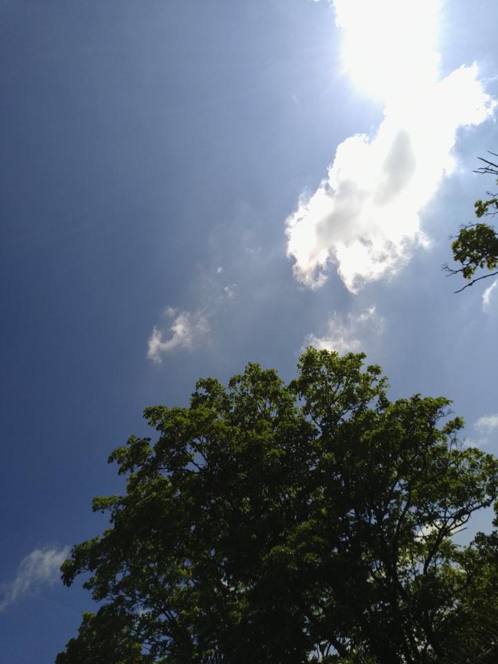 Thumbnail-Penthaus Penthouse Dachgeschosswohnung Eigentumswohnung